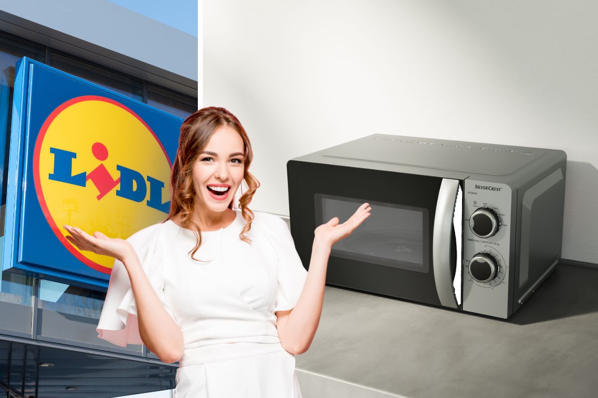 lidl microonde silvercrest da 17 litri