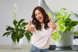 piante da interno che purificano l’aria