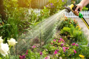 innaffiare i fiori con il caldo estremo