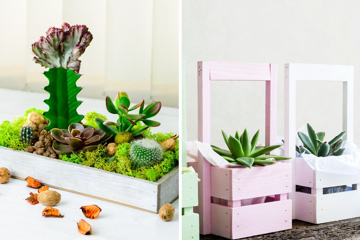 idee creative con cassette e succulente