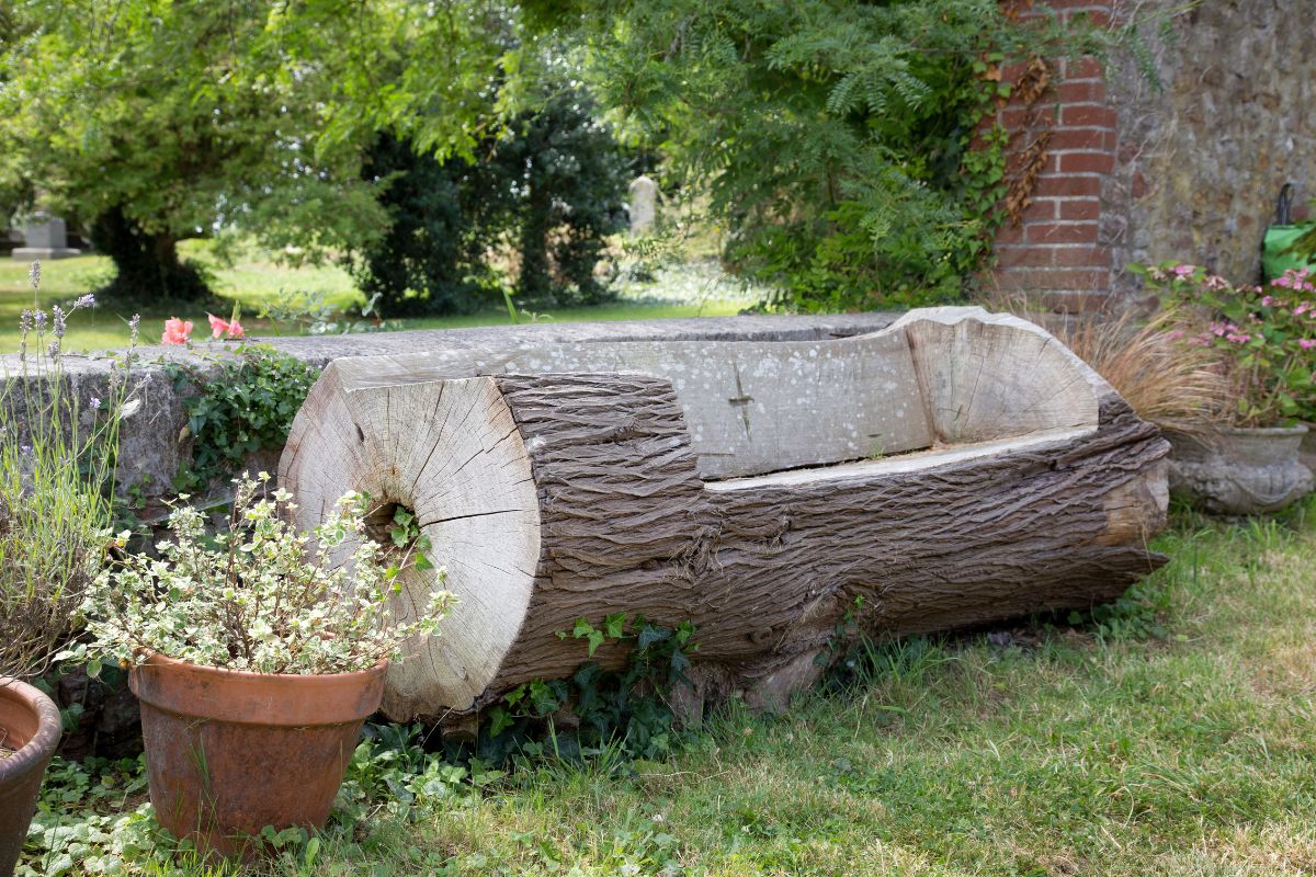 progetti con tronchi e sezioni di legno