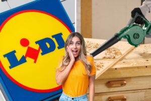 lidl soffiatore parkside