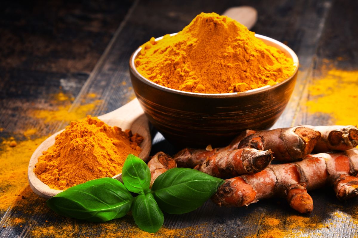 curcuma contro le formiche sul balcone