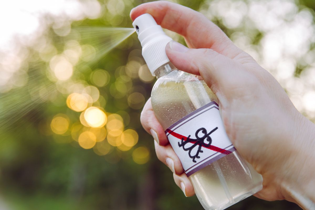 spray fai da te per insetti