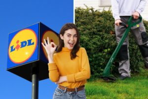 lidl tagliabordi ricaricabile parkside
