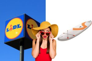 lidl tavola da stand up