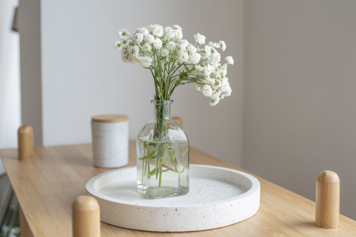idee decorative con elementi naturali