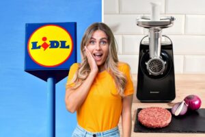 lidl tritacarne elettrico