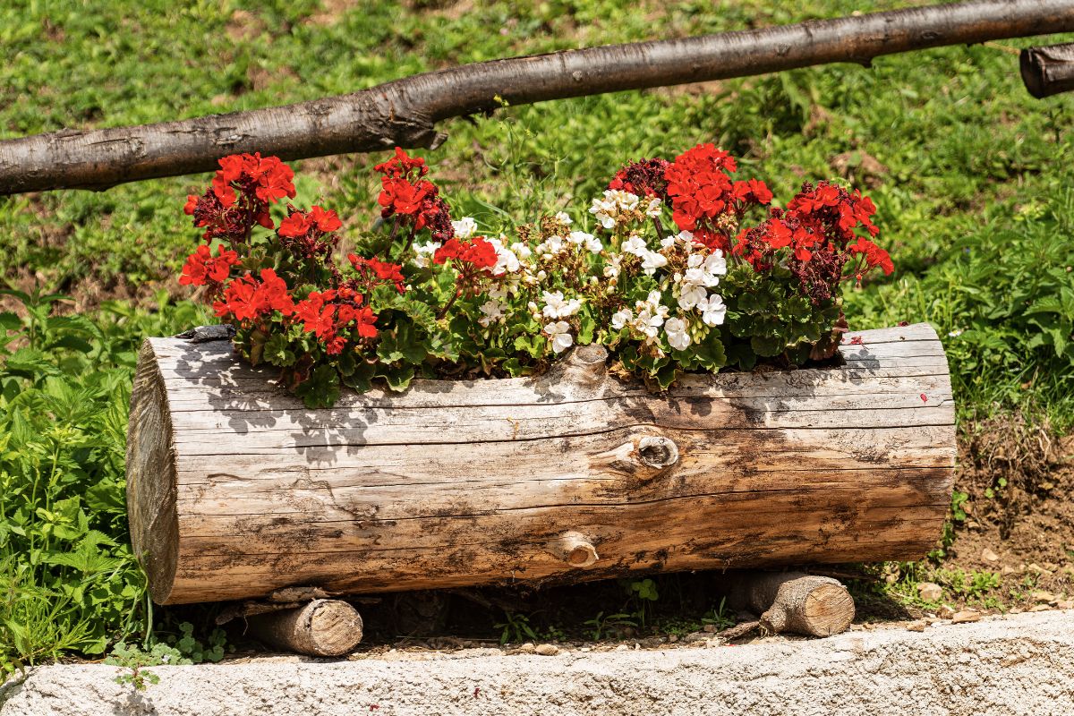 arredare il giardino