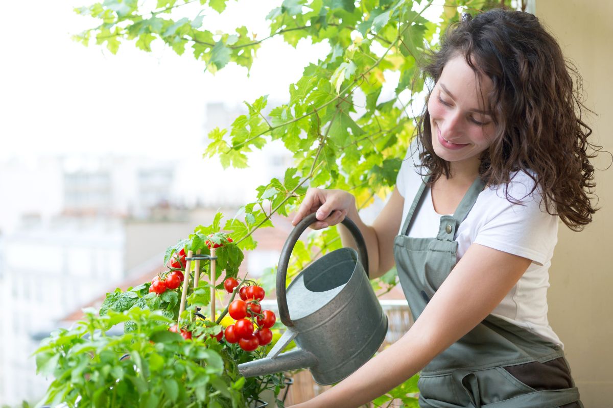 Innaffiare le piante con 40 °C non è facile: scopri i 3 errori da evitare e i trucchi per avere un balcone verde e rigoglioso anche sotto il sole cocente.