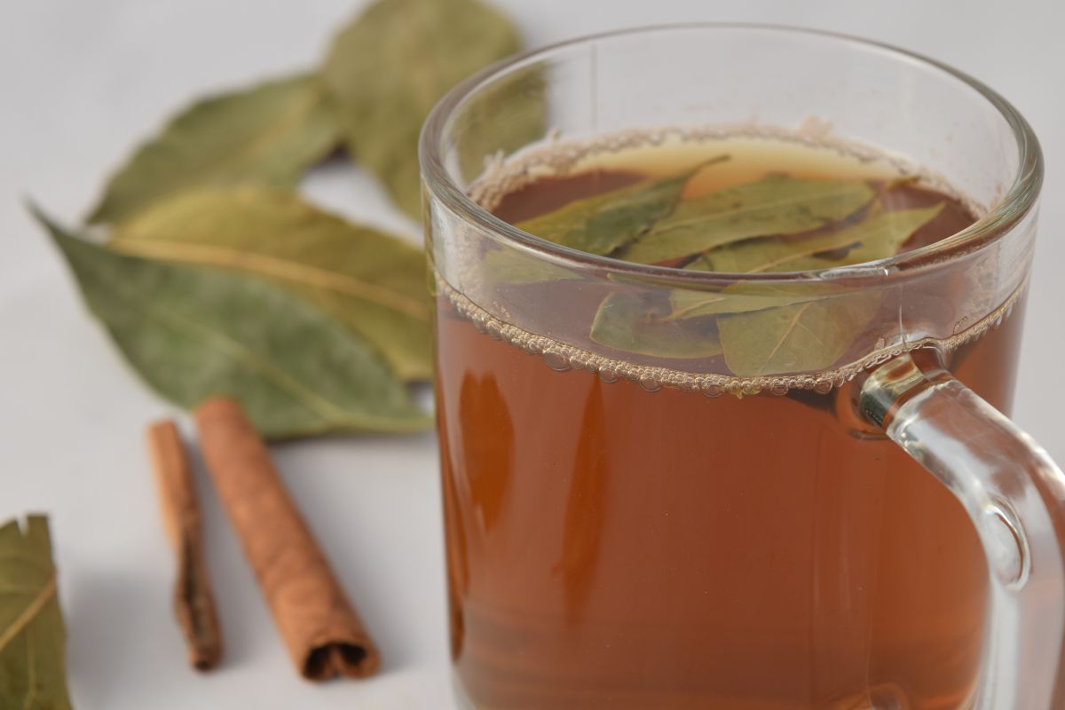 Infuso di alloro: scopri il rimedio naturale ed ecologico per proteggere orto e fiori dai parassiti, facile da preparare e ricco di benefici.
