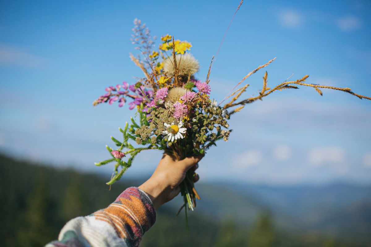 bouquet con fiori di campo e aromatiche