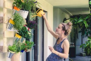 gestione orto verticale con caldo