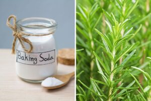 diffusore naturale per la cucina