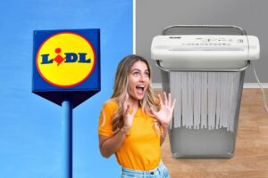 lidl distruggidocumenti