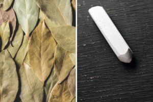 antimuffa alloro e gessetto