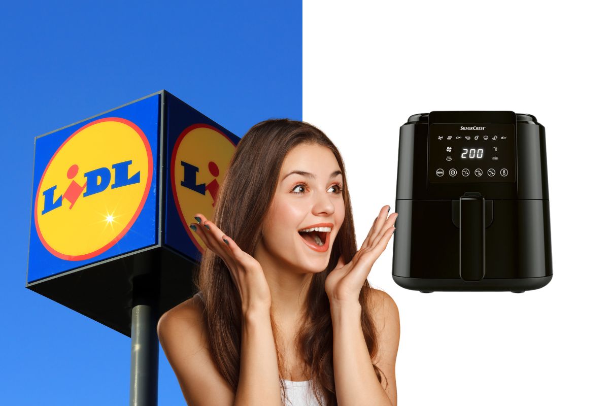 lidl friggitrice ad aria