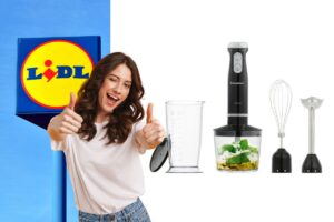 lidl frullatore a immersione