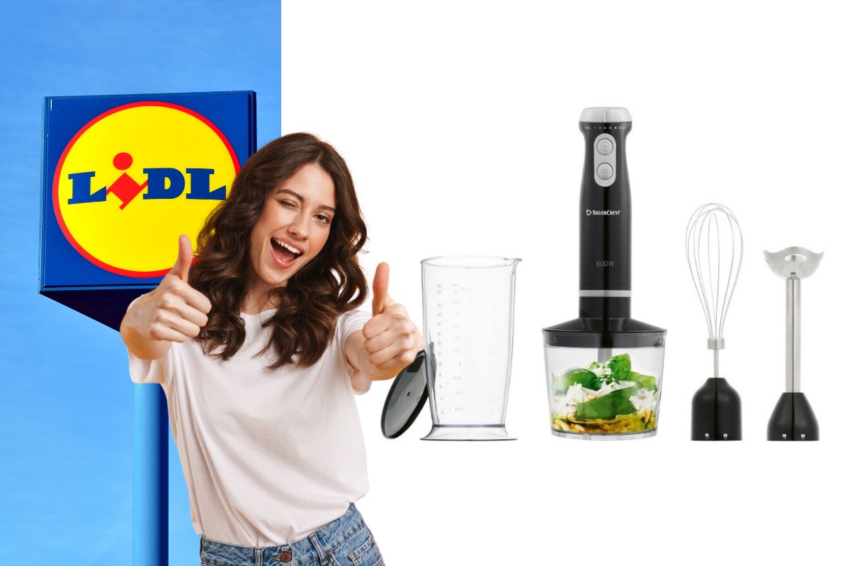 lidl frullatore a immersione