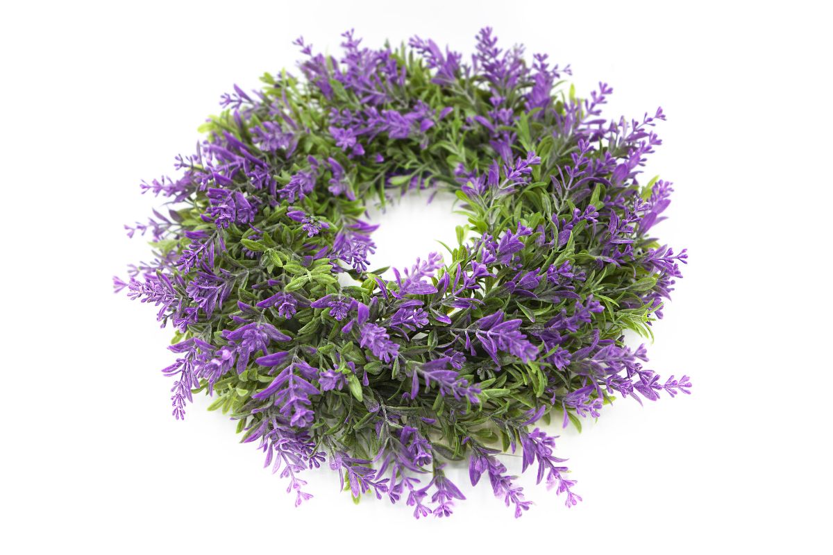 ghirlande di erbe aromatiche