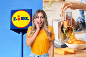 lidl grattugia elettrica multifunzione