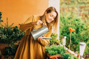 come innaffiare le piante in balcone col caldo