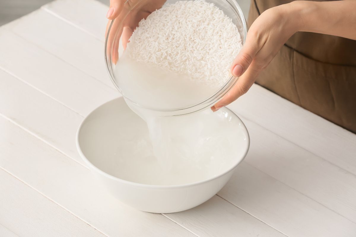 concimare con l'acqua di cottura del riso