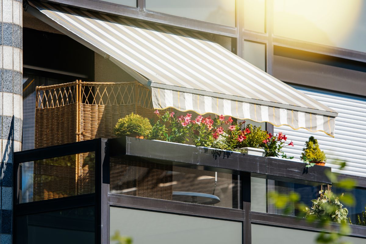 coltivare lattuga e rucola al fresco