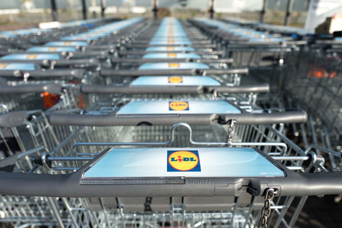 tutto per il campeggio da lidl