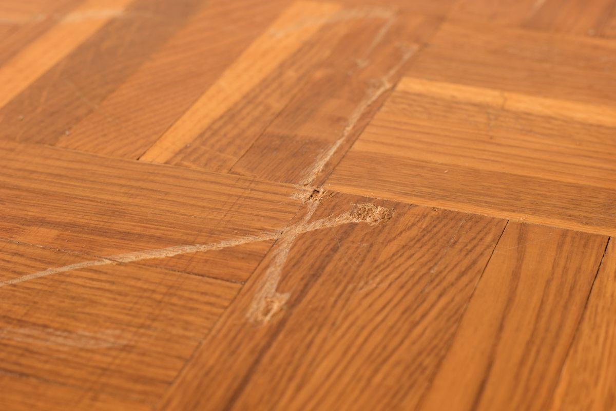 trucco della noce per graffi parquet