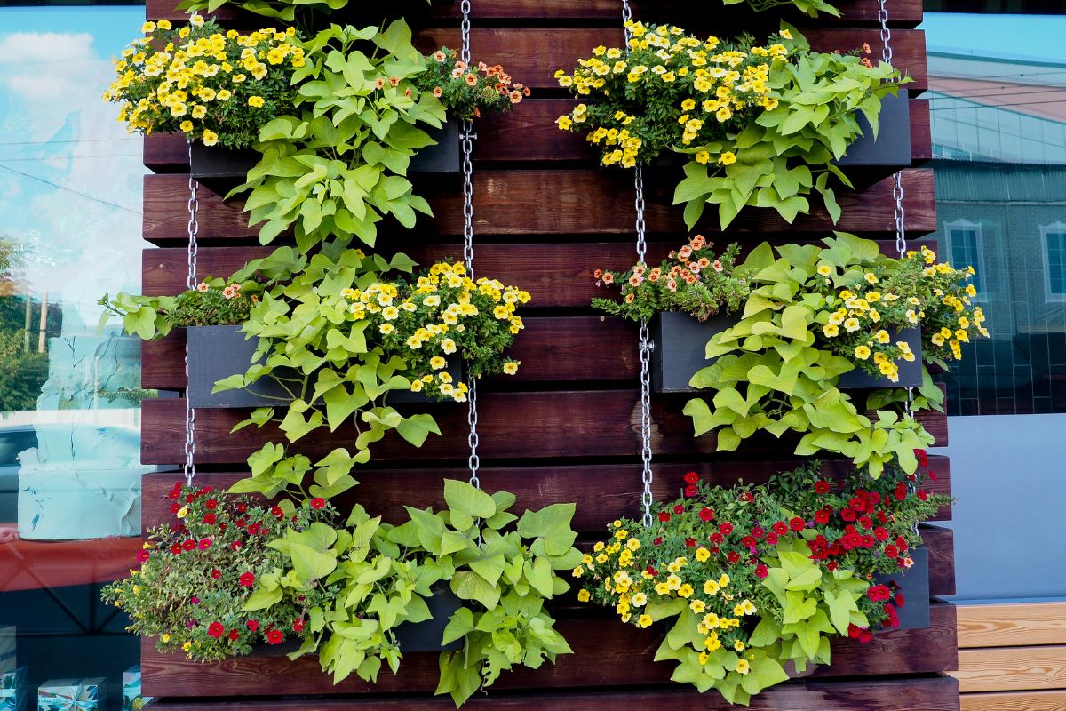 parete divisoria con pallet verniciati