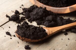 piante che temono davvero i fondi di caffè