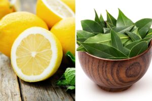limone e alloro per profumare l'ambiente
