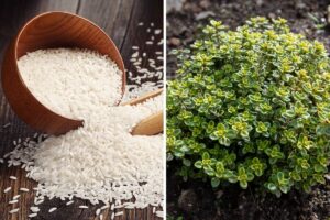 sacchetti profumati per comodini