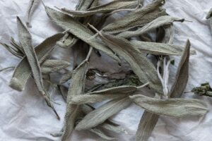 eliminare cattivo odore con la salvia