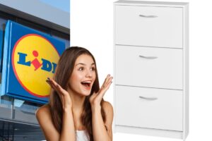 lidl scarpiera a 3 scomparti