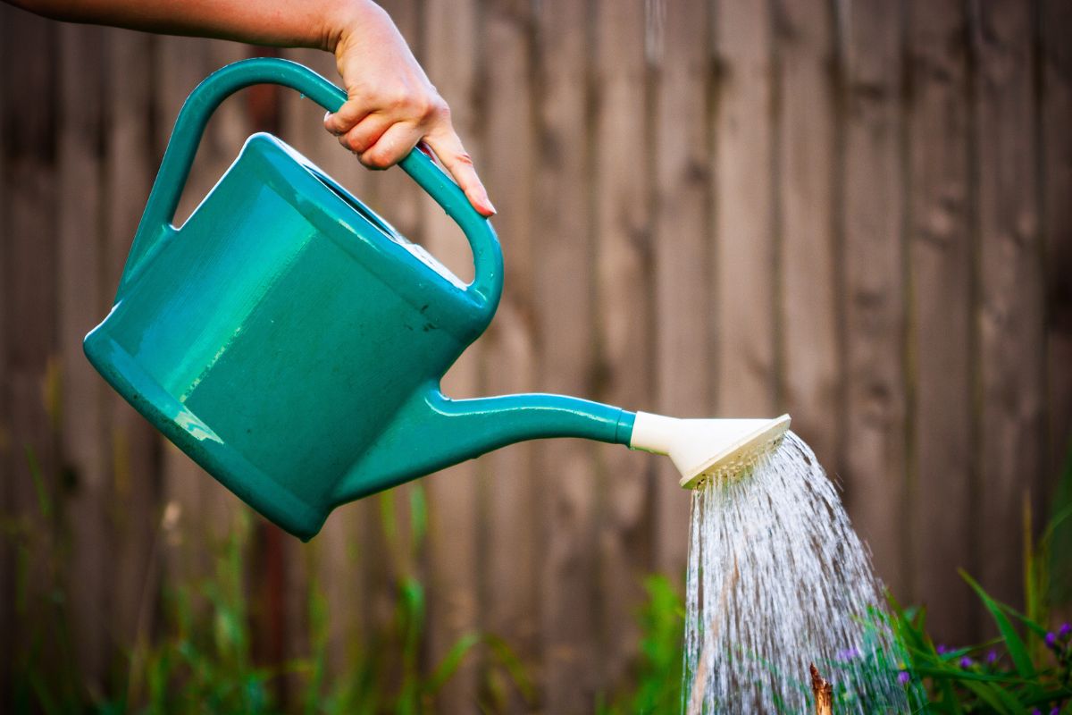 annaffiare con l’acqua del condizionatore