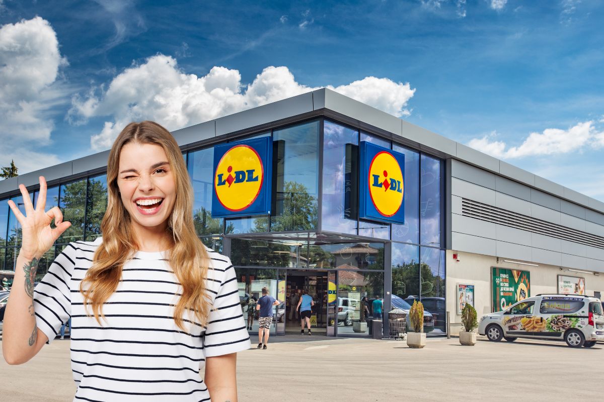 lidl accessori pratici in offerta