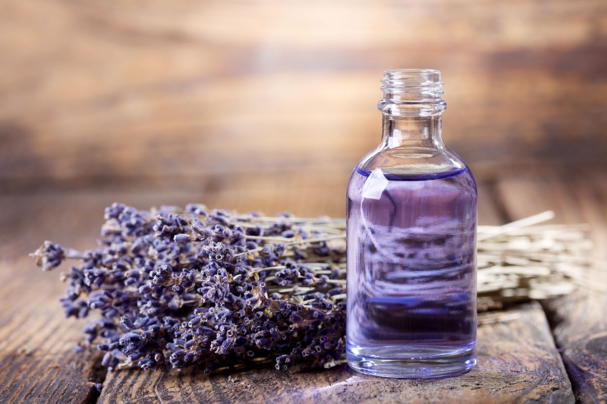 l’acqua di lavanda fatta in casa
