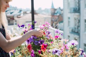 bouquet da balcone fai da te
