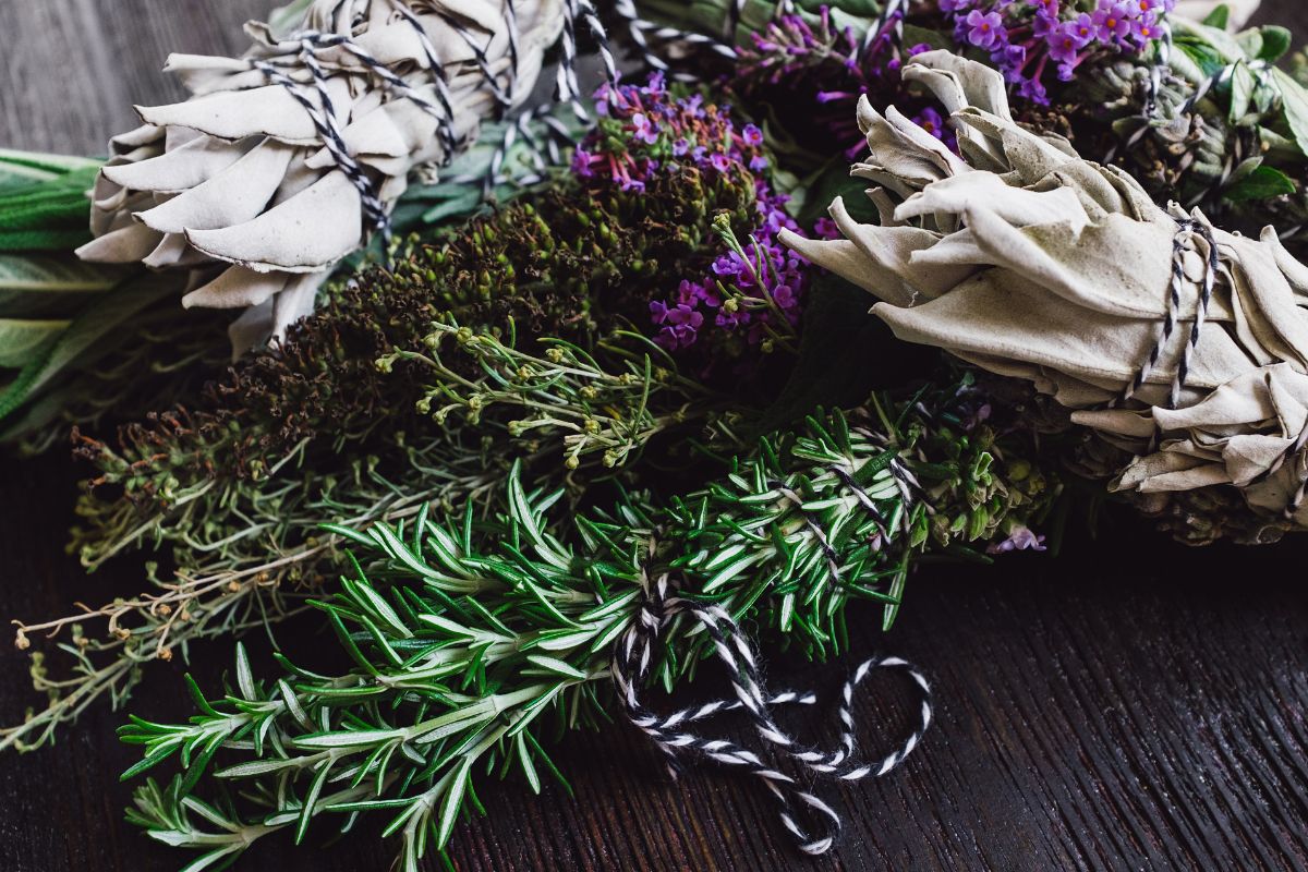 bouquet aromatici e lavanda