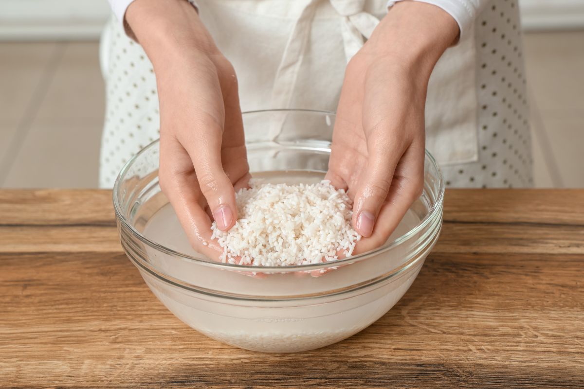 acqua di riso fredda per piante più forti