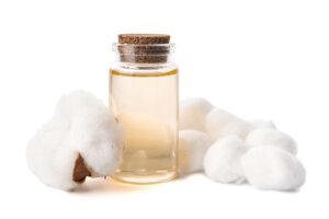 olio essenziale di menta piperita