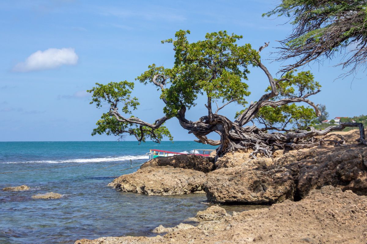isole caraibiche più accessibili