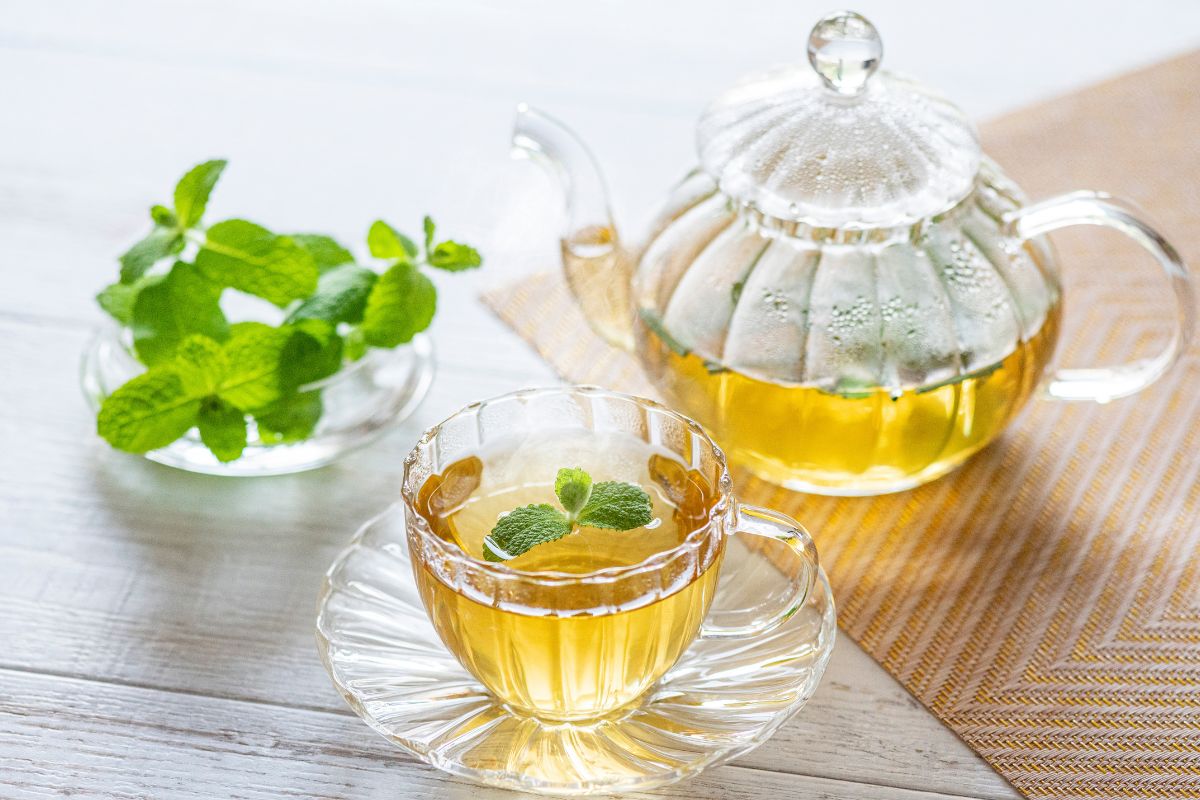 menta glaciale per tisane rinfrescanti