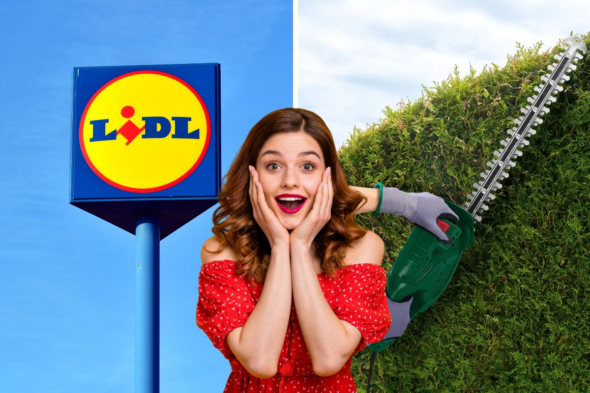 lidl tagliasiepi elettrico