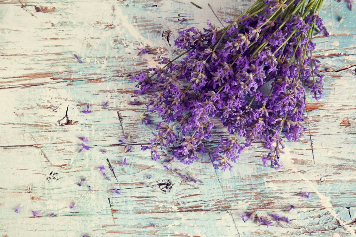 legno e lavanda per parete profumata