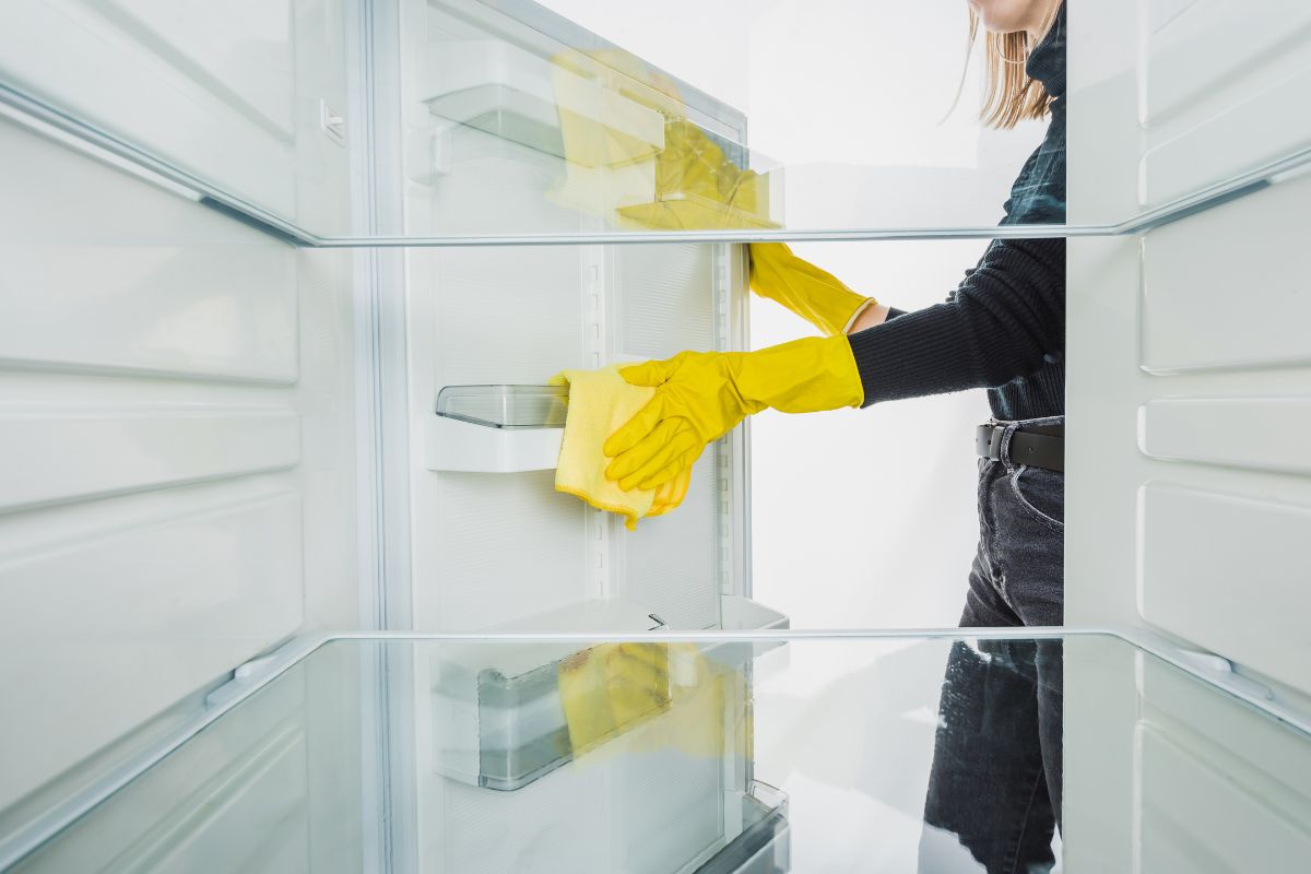 ingredienti naturali pulizia frigo