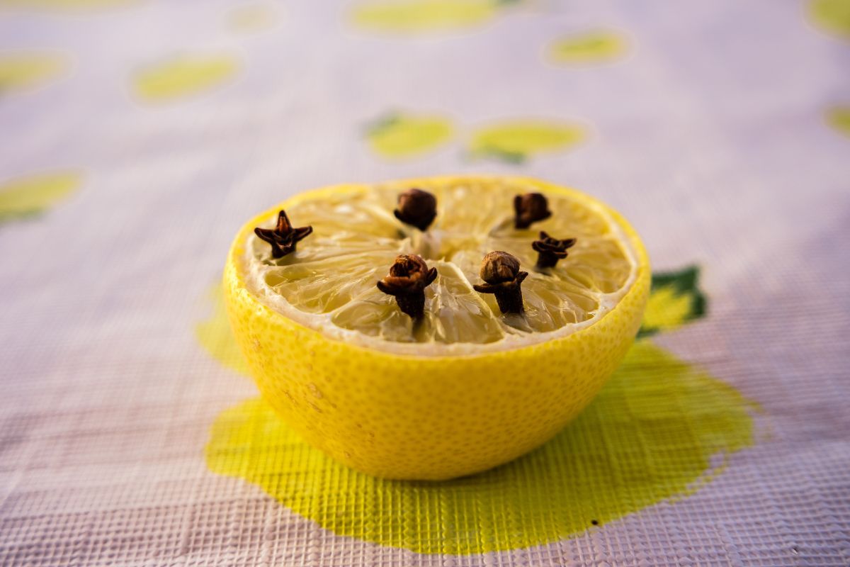 profumare casa con limone e chiodi di garofano