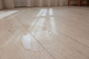 pulizie macchie d’acqua sul parquet